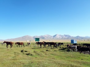 De Bishkek au lac Son Koul